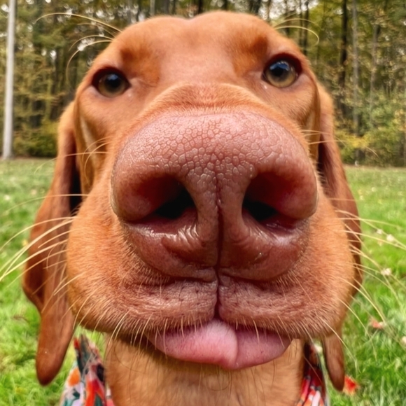 Meet your Posher, Heather - Picture 1 of 1